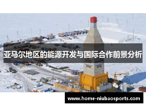 亚马尔地区的能源开发与国际合作前景分析