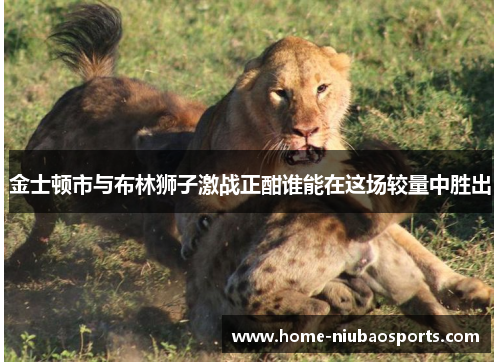 金士顿市与布林狮子激战正酣谁能在这场较量中胜出